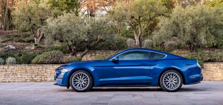 mustang